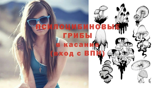 скорость Абаза