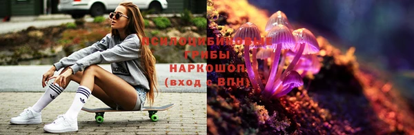 скорость Абаза